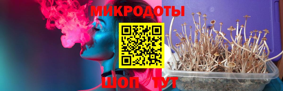 Галлюциногенные грибы ЛСД  Вход с VPN  Советская Гавань 